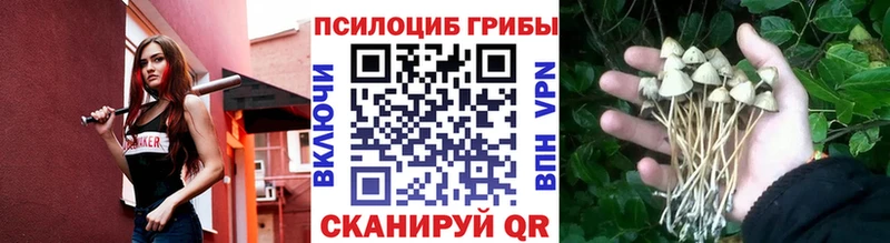 Псилоцибиновые грибы прущие грибы  Пущино 
